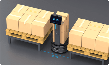 OrionStar CarryBot 11